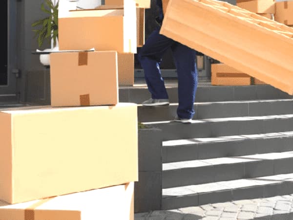 Sgomberare Professionale Avio